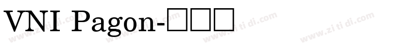 VNI Pagon字体转换
